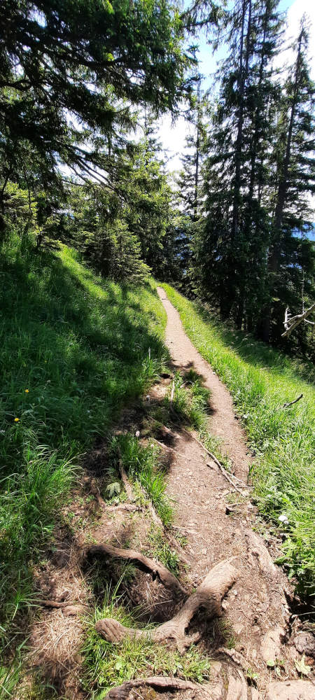 Wanderweg zum Ochsensitz