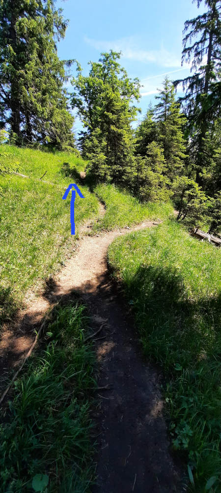 Wanderweg zum Ochsensitz