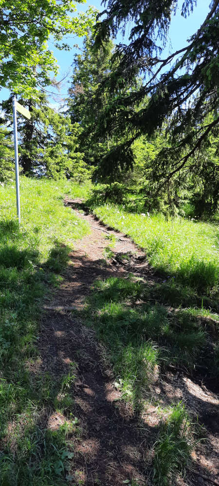 Wanderweg zum Ochsensitz