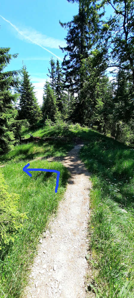 Wanderweg zum Ochsensitz