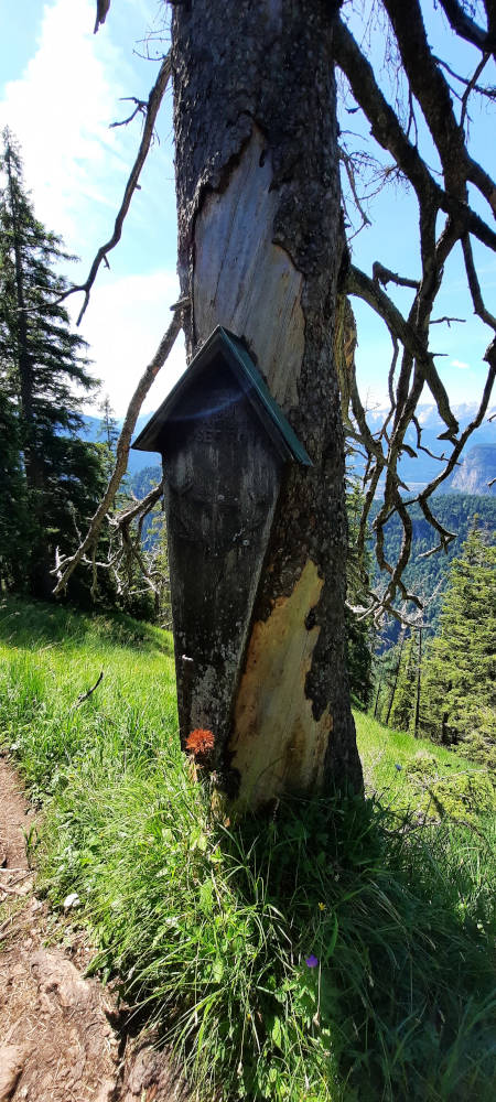 Gedenktafel beim Wanderweg zum Ochsensitz
