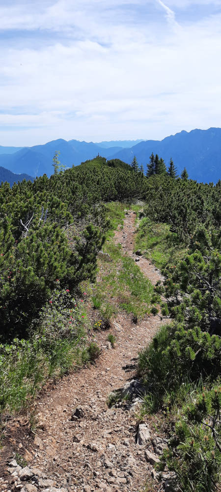 Wanderweg zum Ziegelspitz