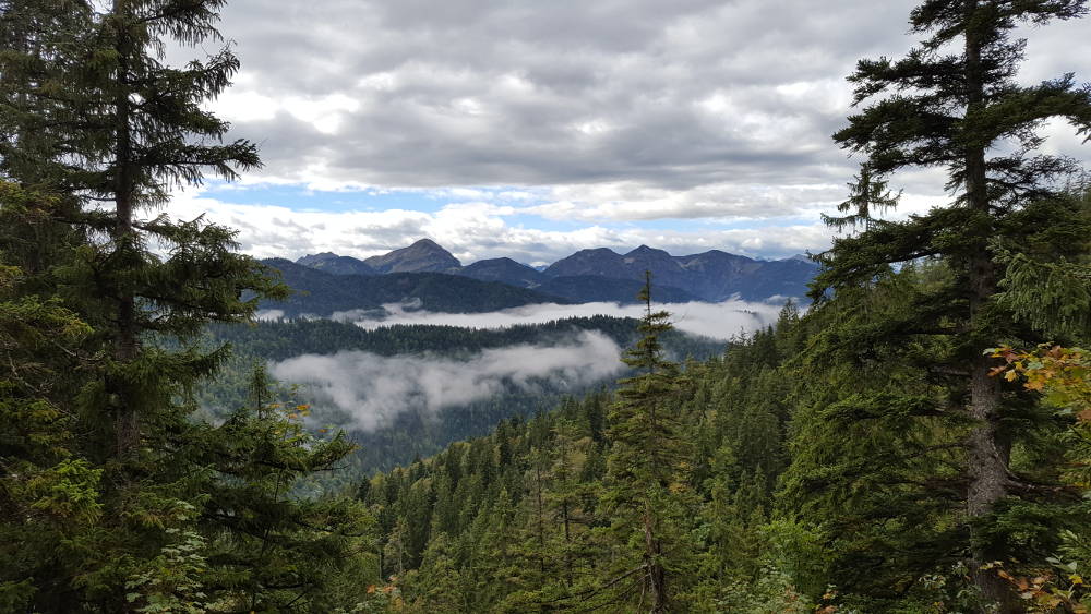 Aussicht auf dem Wanderweg zum Roßstein