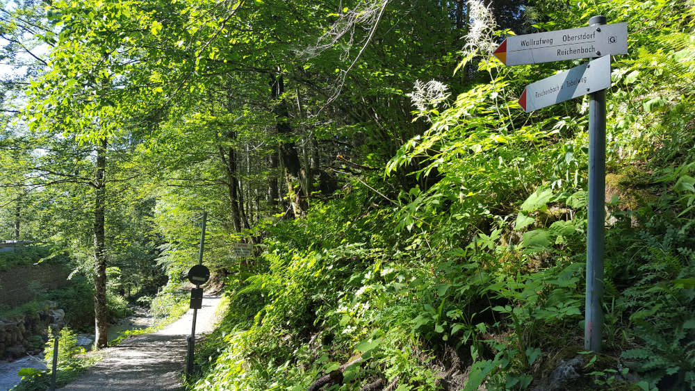 Schilderbaum bei der Gabelung zum Tobelweg von oben kommend