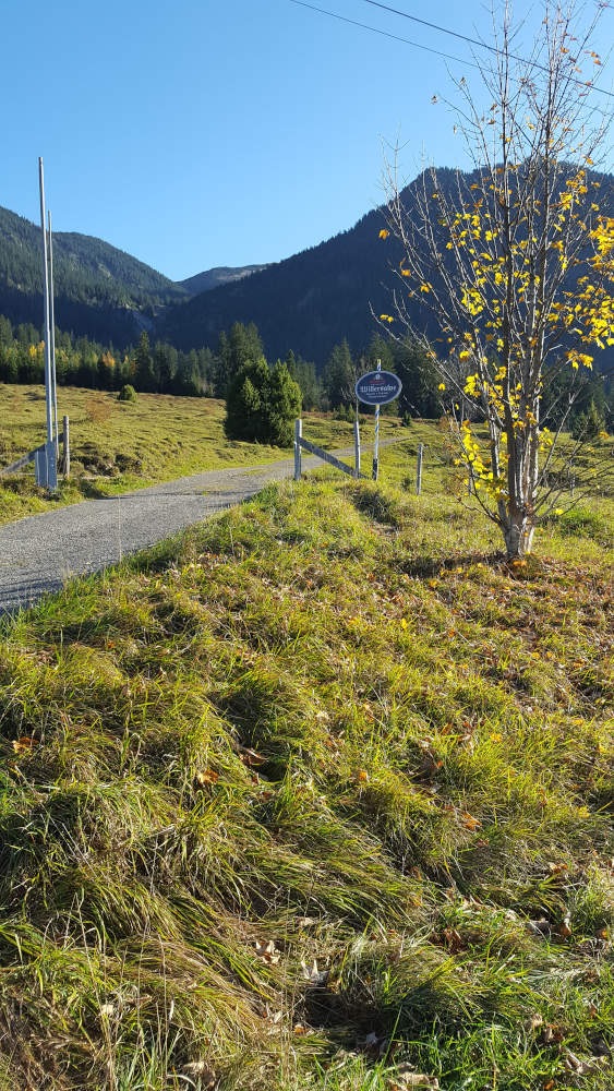 Willersalpe beim Wanderweg zum Schrecksee