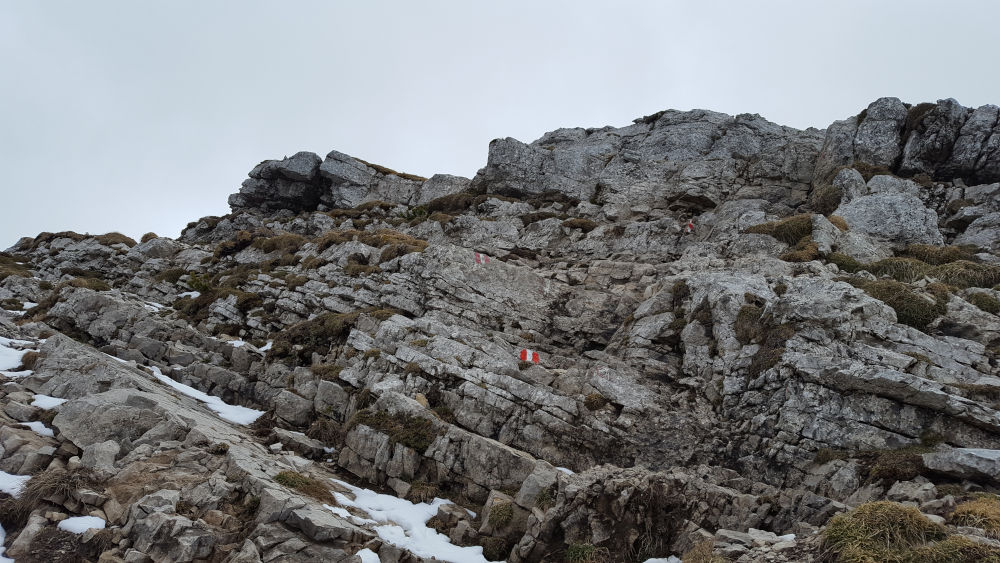 Seekarspitze Felswand