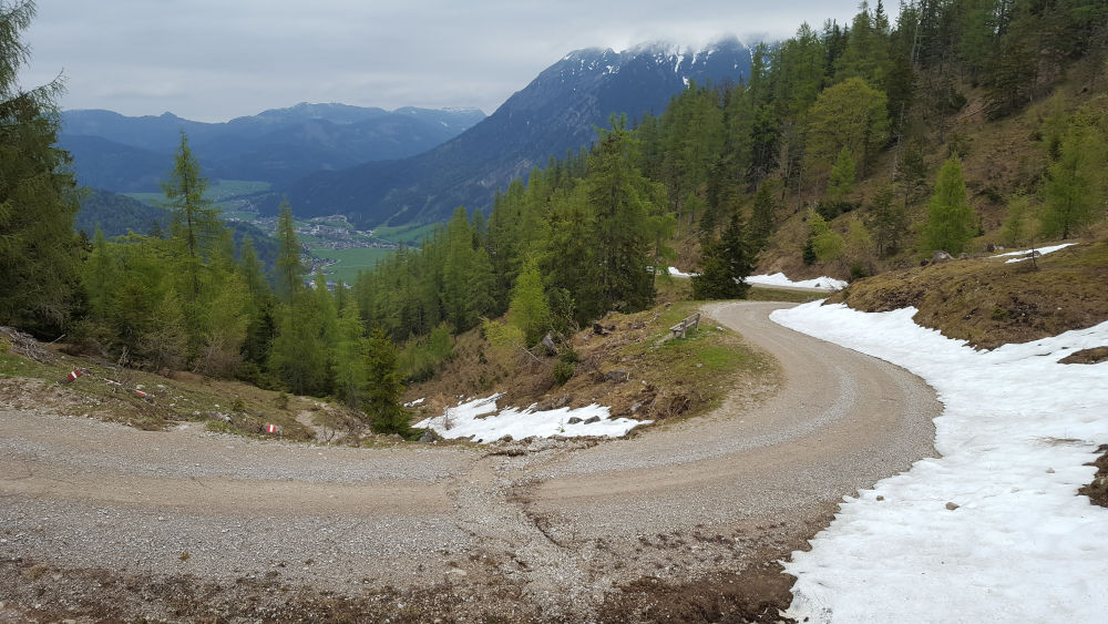Seekarspitze Kreuzung Steig und Forststraße