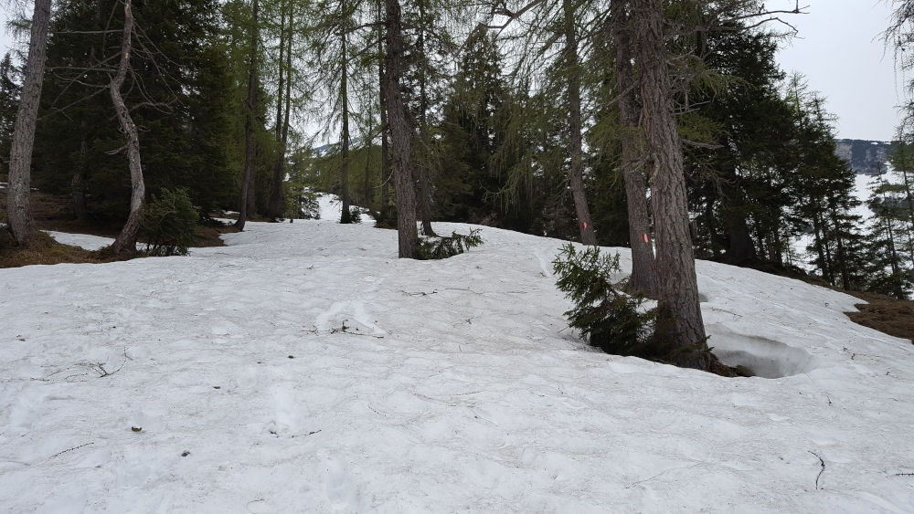 Schneebedeckter Wanderweg zur Seekarspitze