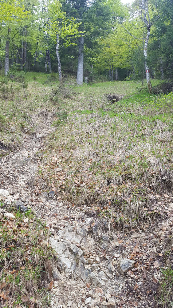 Seekarspitze Steig Wanderweg