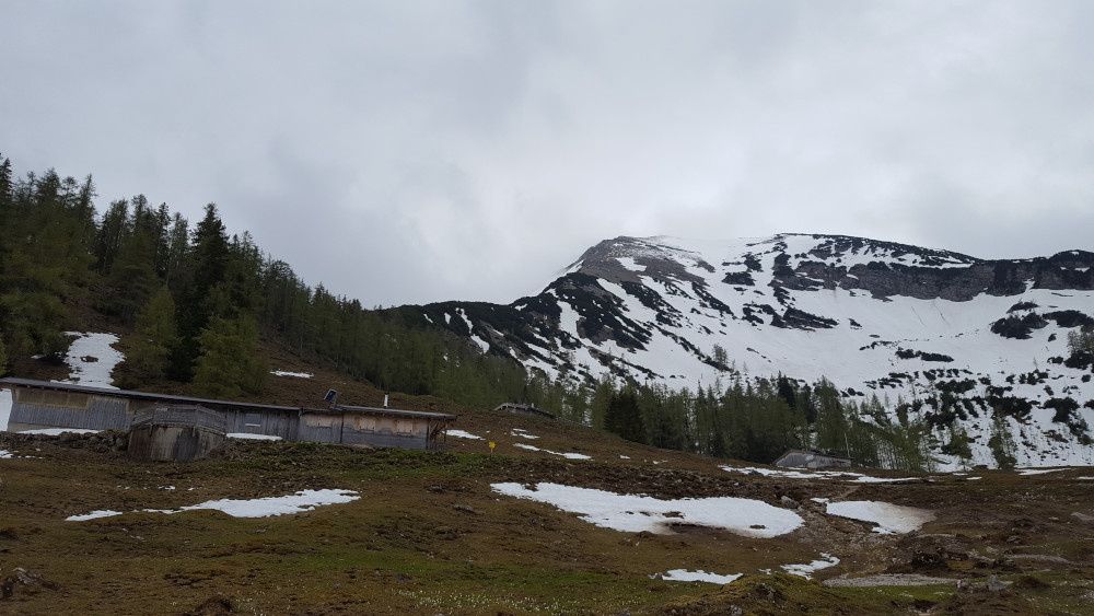 Seekarspitze Wanderweg mit Seekaralm und Seekarspitze