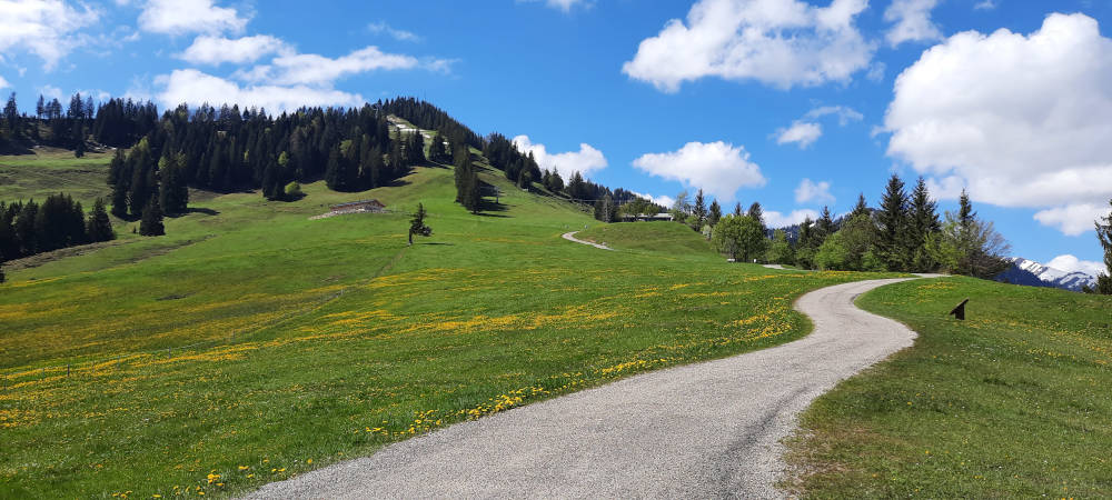 Wanderweg zum Mittagberg