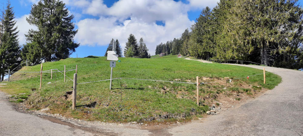 Schilderbaum auf dem Wanderweg zum Mittagberg