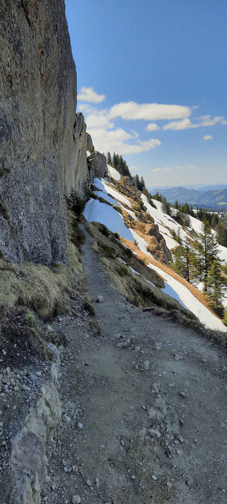 Alternativer Weg zur Leiter vor dem Steineberg