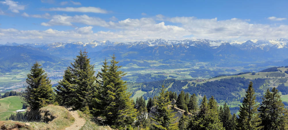 Aussicht vom Steineberg