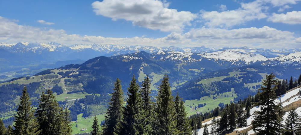 Aussicht vom Steineberg