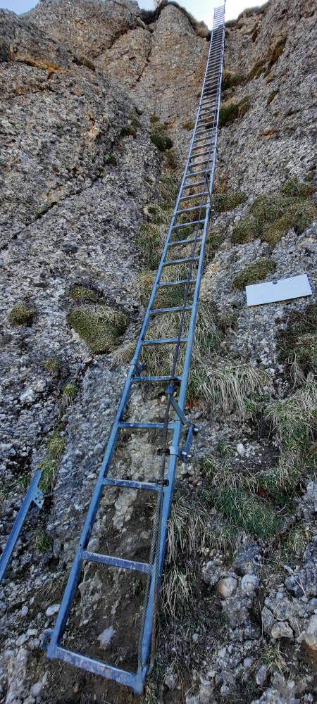 Leiter kurz vorm Steineberg