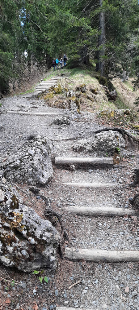 Wanderweg zum Steineberg