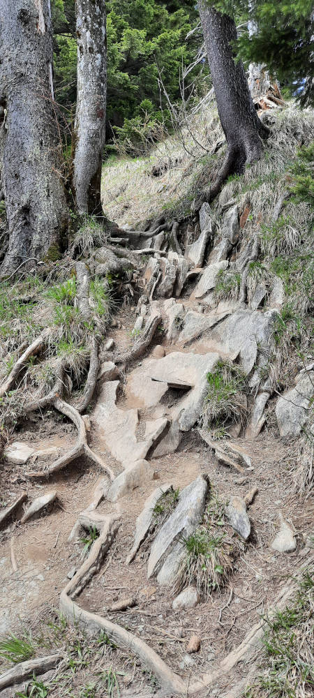 Wanderweg zum Steineberg