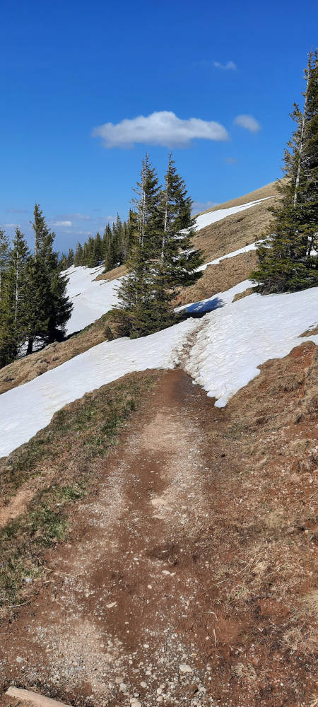 Wanderweg vom Stuiben zur Alpe Gund