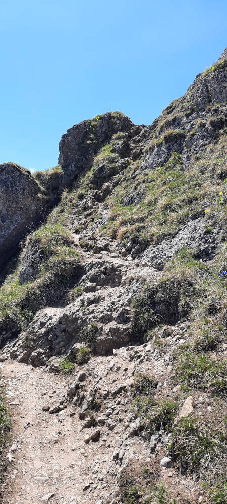 Drahtseilsicherung am Wanderweg zum Stuiben