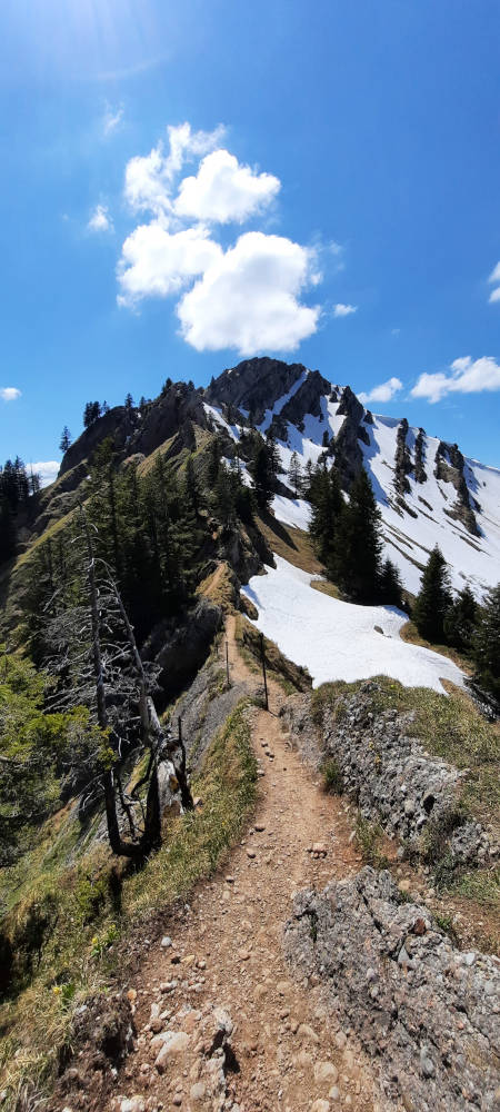 Drahtseilsicherung am Wanderweg zum Stuiben