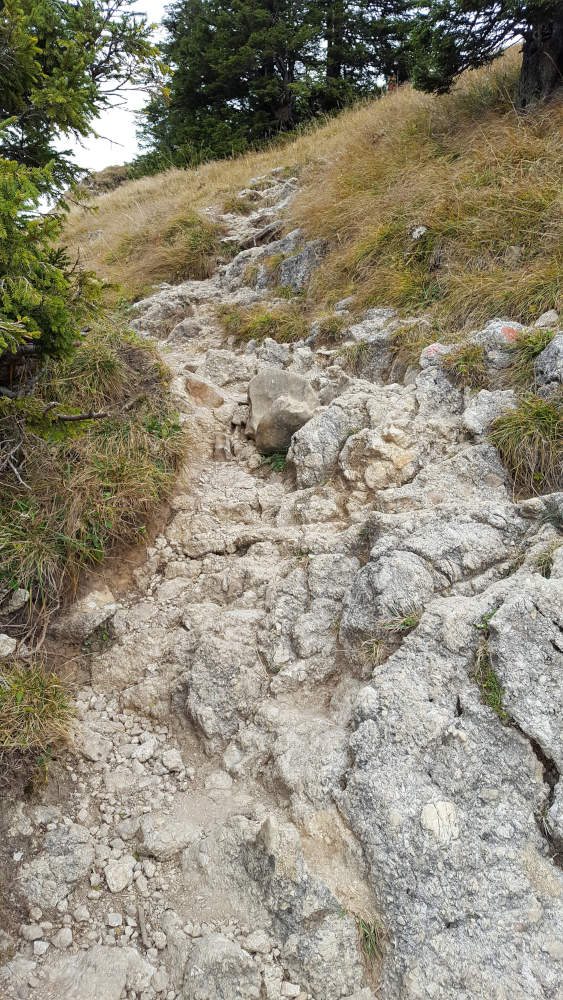 Branderschrofen Wanderweg