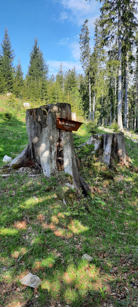 Schild zum Kuhalmmoosweg