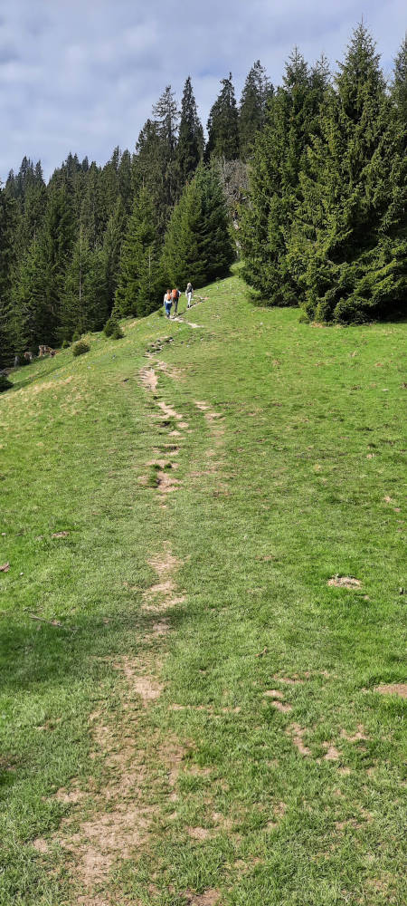Wanderweg zum Teufelstättkopf