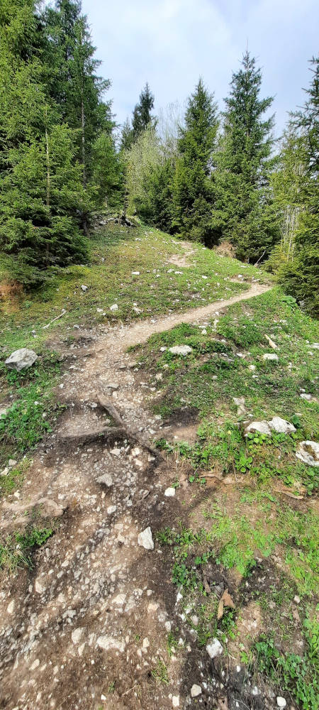 Wanderweg zum Teufelstättkopf