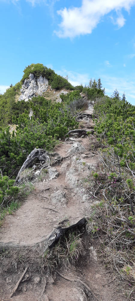 Wanderweg zum Teufelstättkopf