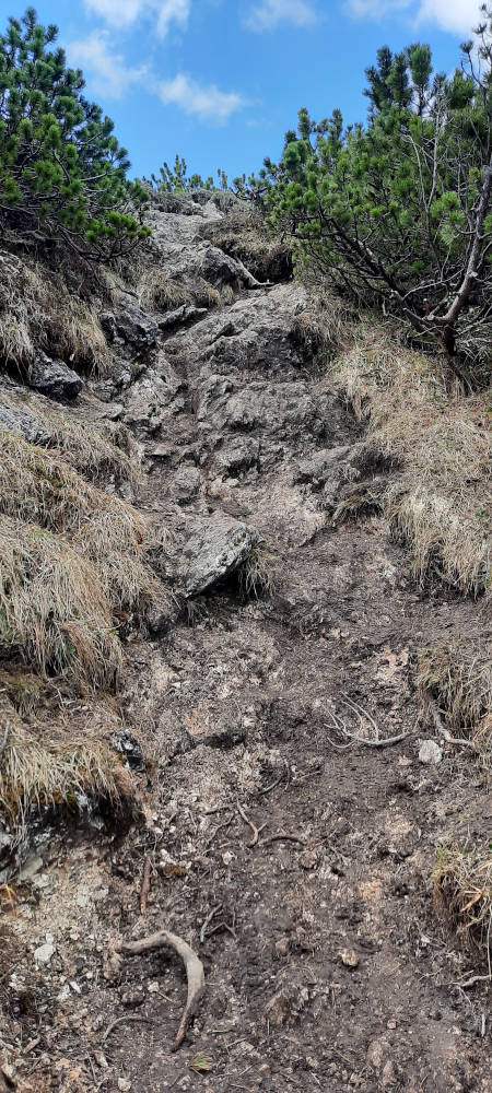 Wanderweg zum Teufelstättkopf