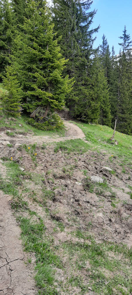 Wanderweg zum Teufelstättkopf