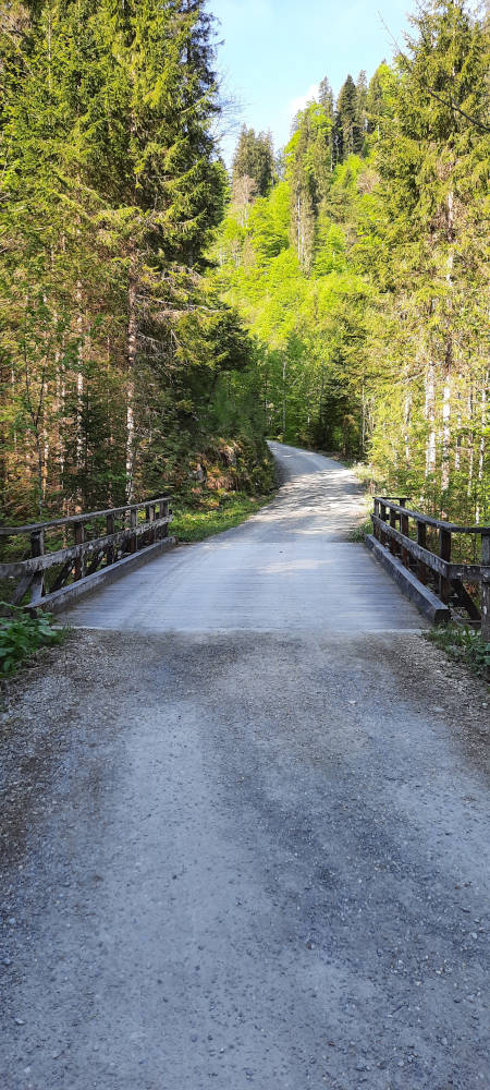 Holzbrücke auf dem Wanderweg zum Teufelstättkopf