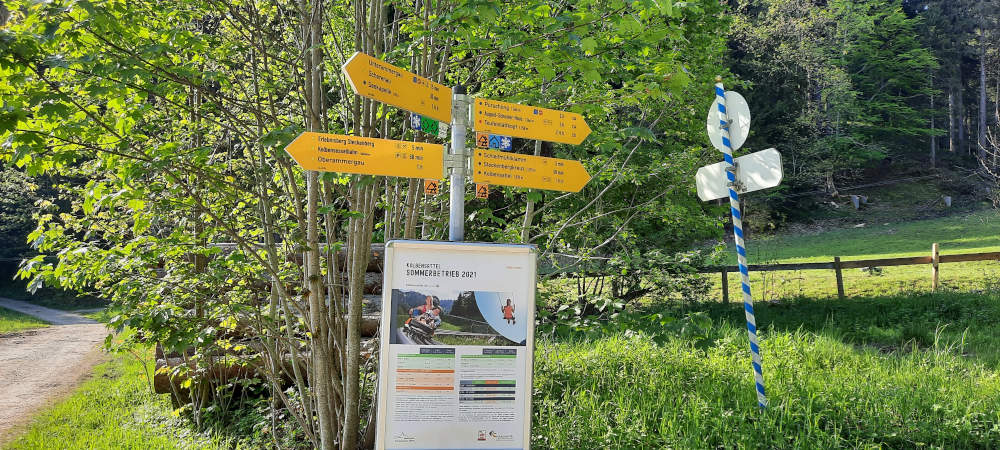 Schilderbaum auf dem Wanderweg zum Teufelstättkopf