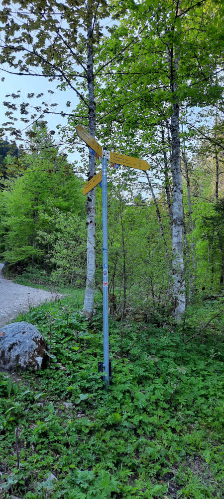 Schilderbaum auf dem Wanderweg zum Teufelstättkopf