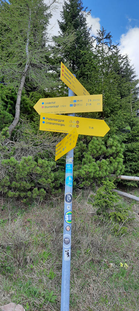 Schilderbaum auf dem Wanderweg zum Teufelstättkopf