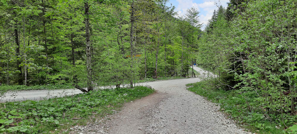 Schilderbaum auf dem Wanderweg zum Teufelstättkopf