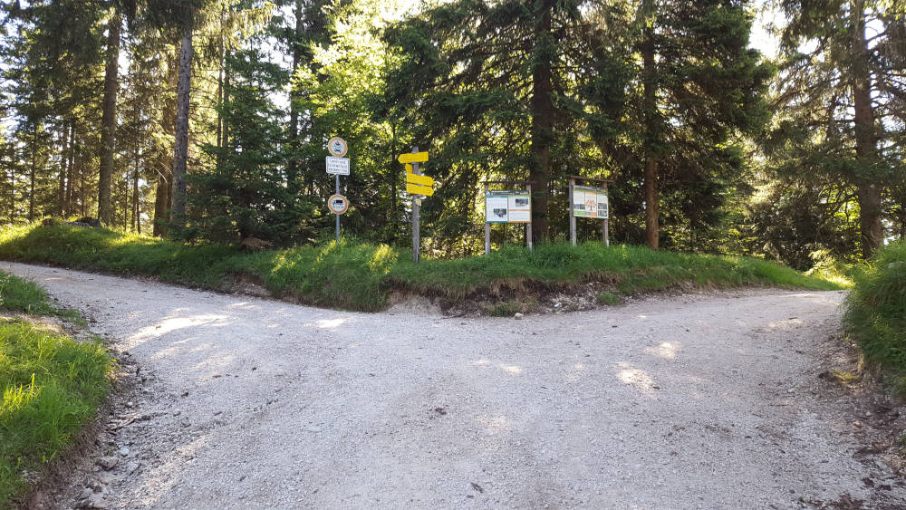 Toter Mann Wanderweg Gabelung
