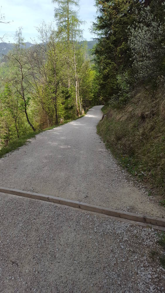 Watzmannhaus Forstweg