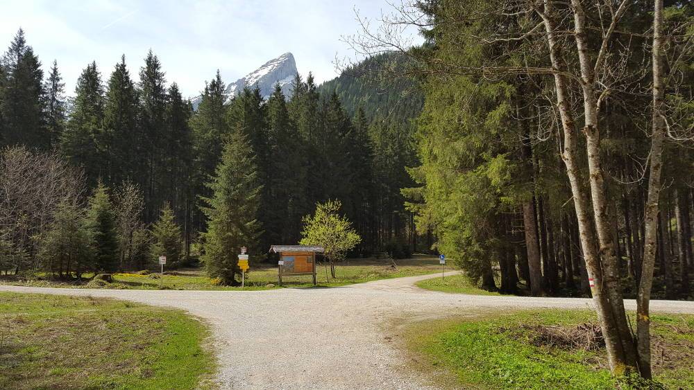 Watzmannhaus Forstweg Kreuzung
