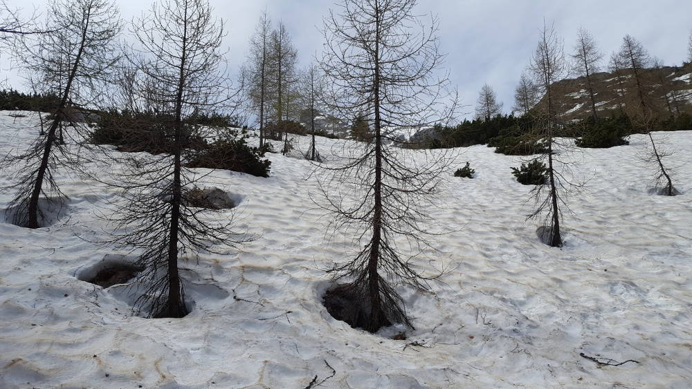 Watzmannhaus Wanderweg Schnee