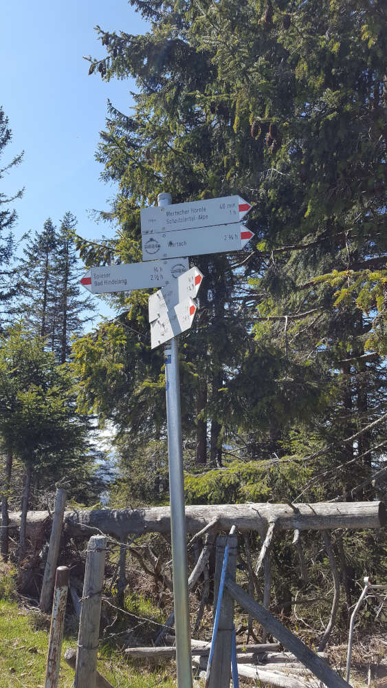 Schilderbaum zum Spieser