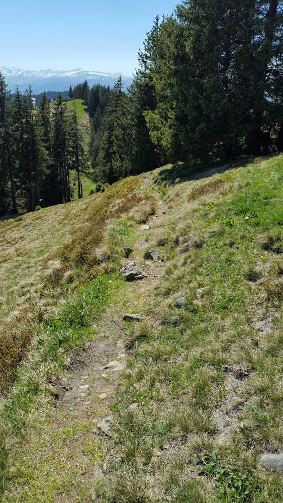 Wanderweg zum Spieser