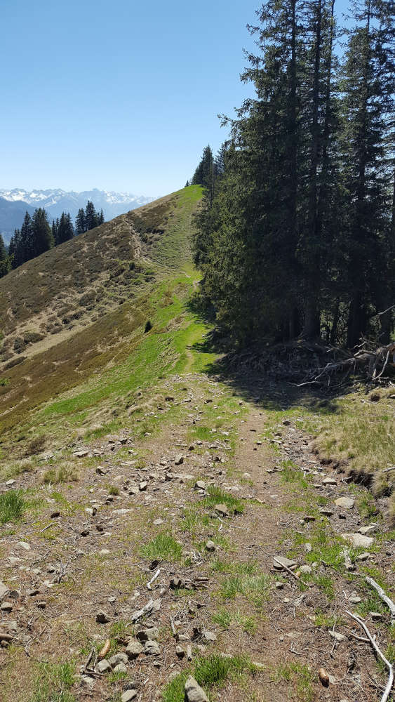 Wanderweg zum Spieser