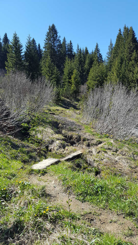 Wanderweg zum Spieser