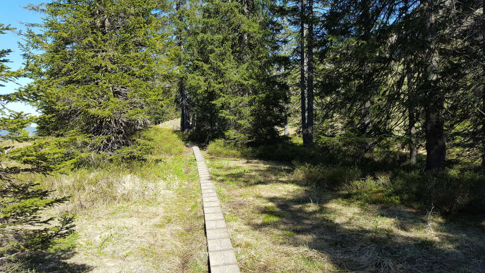 Holzwanderweg zum Spieser