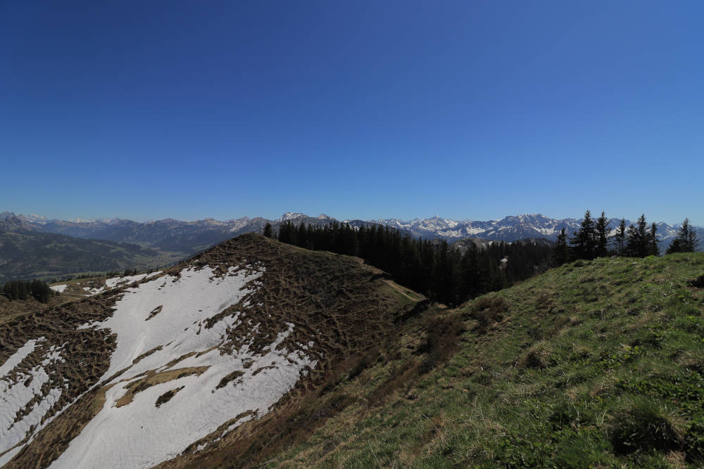 Aussicht vom Wertacher Hörnle