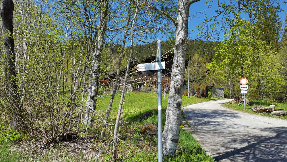 Schilderbaum zum Wertacher Hörnle