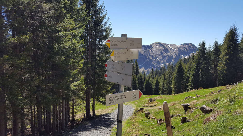 Schilderbaum zum Wertacher Hörnle