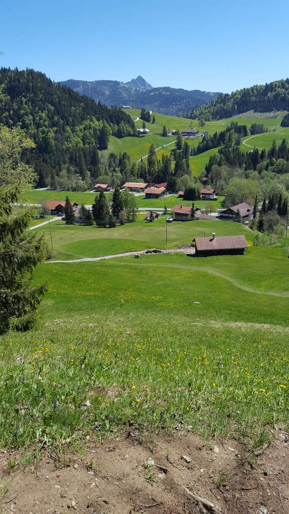 Wanderweg zum Wertacher Hörnle
